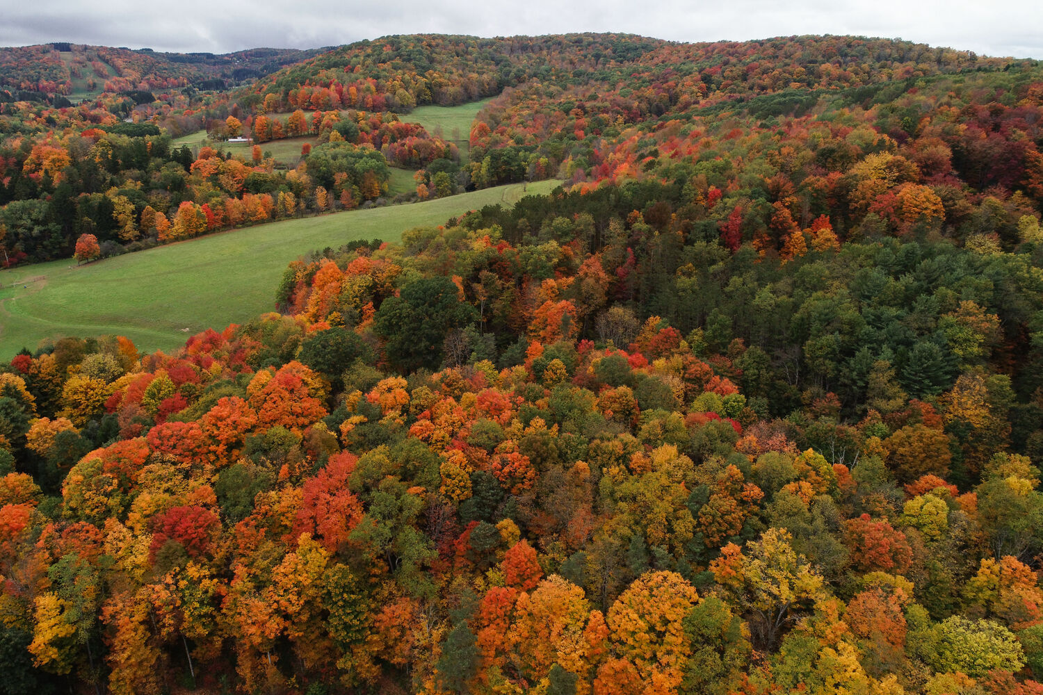 Ellicottville fall color